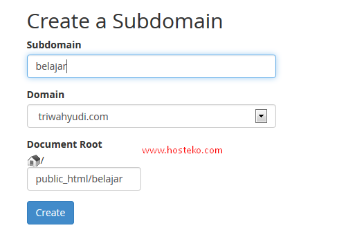 sub domain 2
