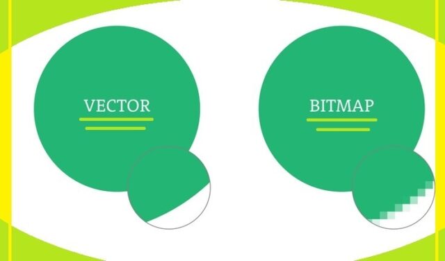 BMP(Bitmap Picture) VS Vector.Apa Saja Perbedaannya? - Hosteko Blog